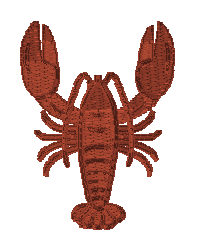 Lobster